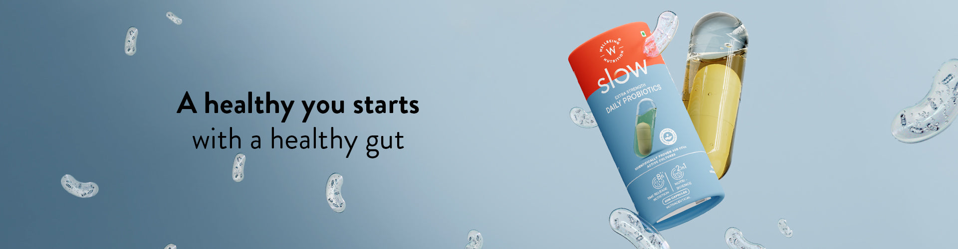 Gut Health_dk