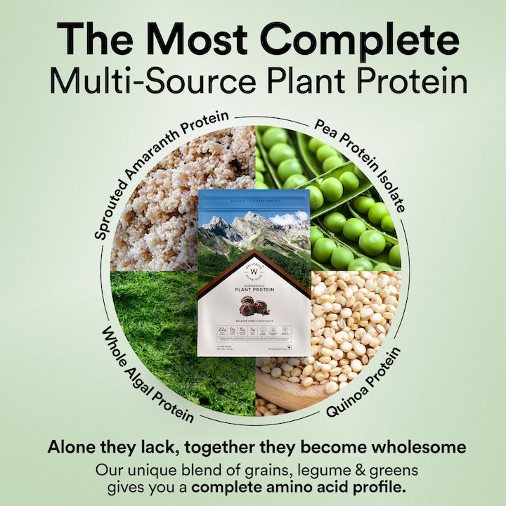 complete multi-source plant protein