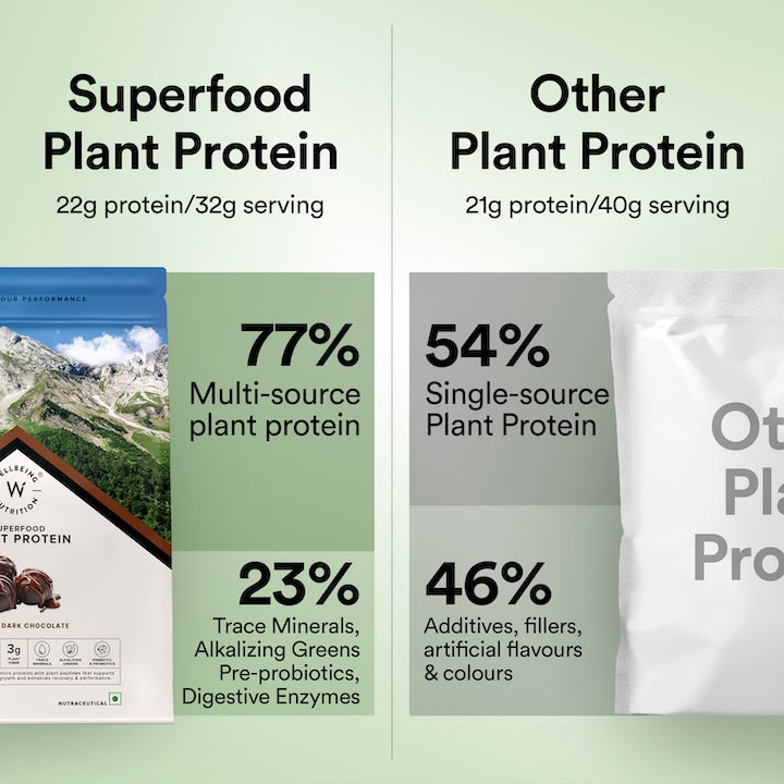 superfood plant protein vs other plant protein