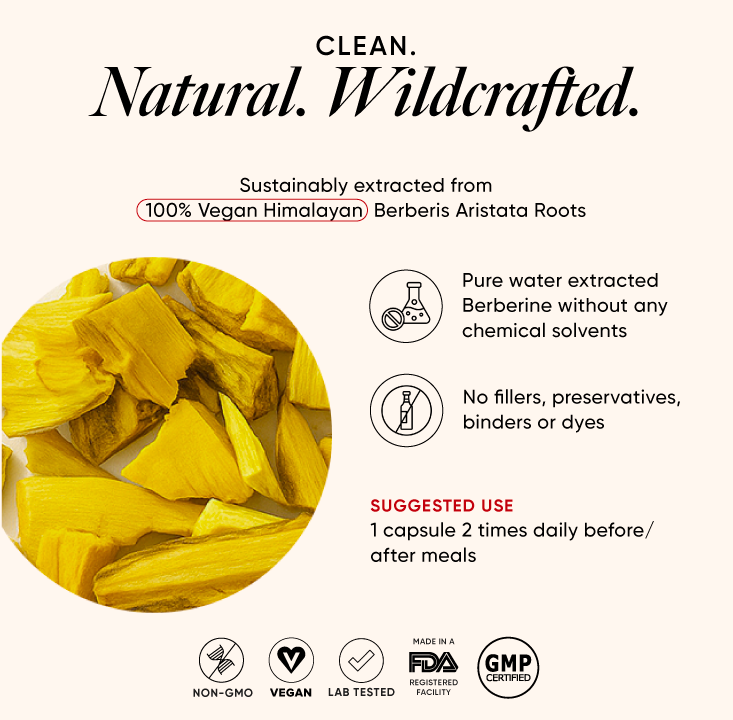 berberine extracted from berberis aristata roots