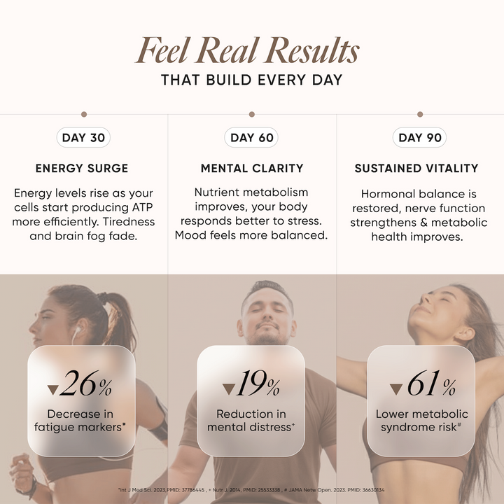 Bioactive B Complex | Methylated B Vitamins with Biotin & Vitamin C | 60 Capsules